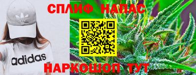 Альфа ПВП Малгобек