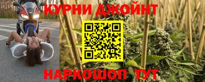 Альфа ПВП Малгобек