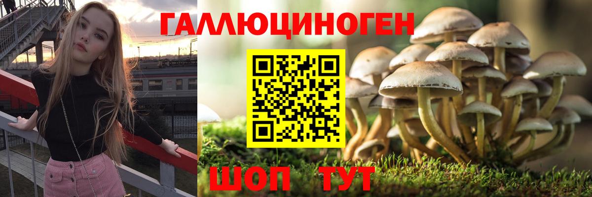 Электрогорск  Галлюциногенные грибы Magic Shrooms  Вход с VPN 